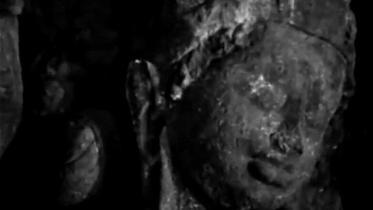 Backdrop image for movie Koodal