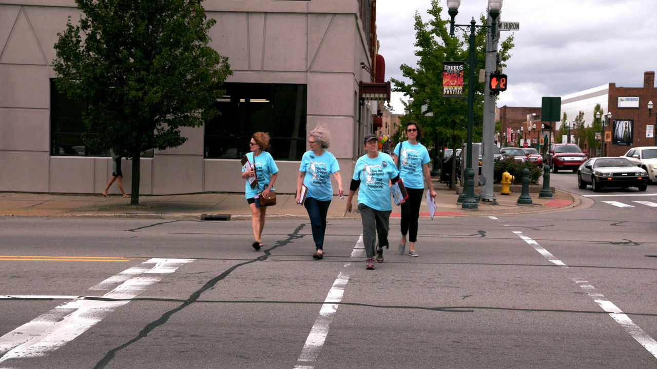 Backdrop image for movie Slay the Dragon