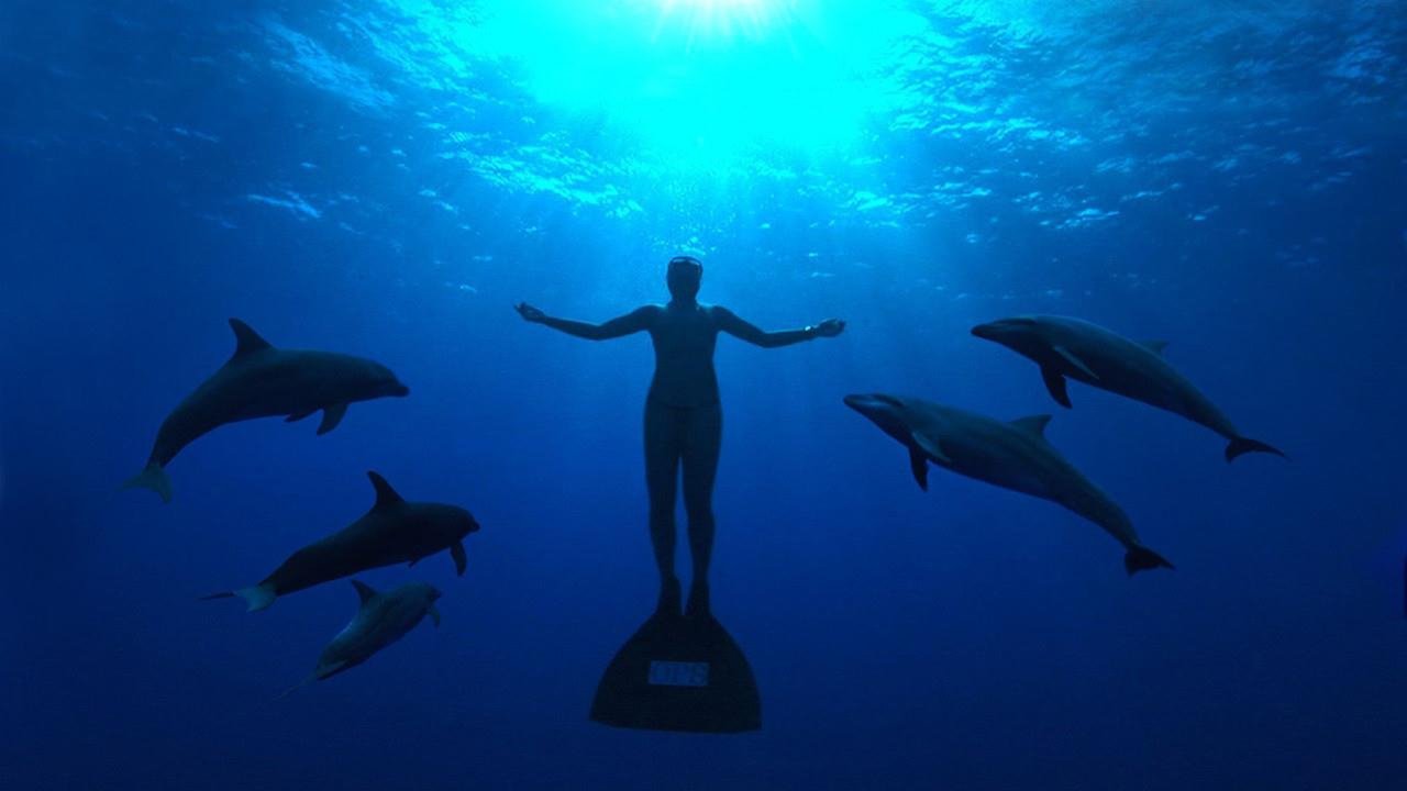 Backdrop image for movie The Cove