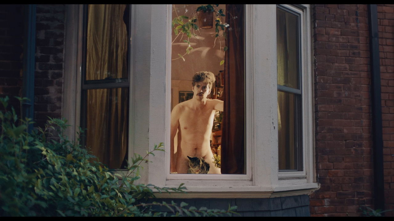 Backdrop image for movie Monkey-Love, Please Hold