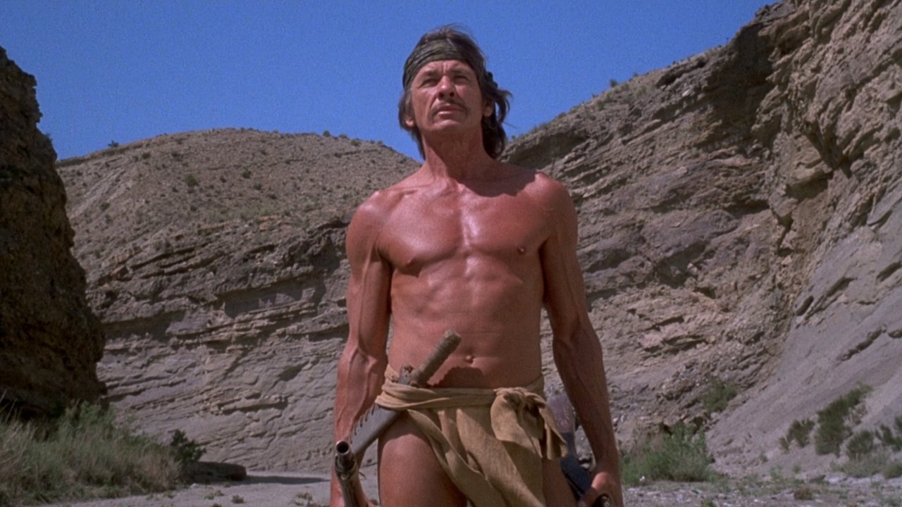 Backdrop image for movie Chato's Land