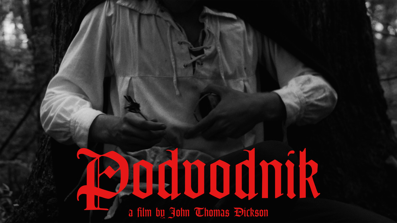 Backdrop image for movie Podvodnik