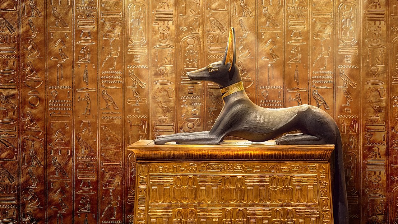 Backdrop image for movie King Tut: A Century of Secrets