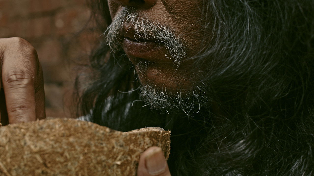 Backdrop image for movie Harbinger