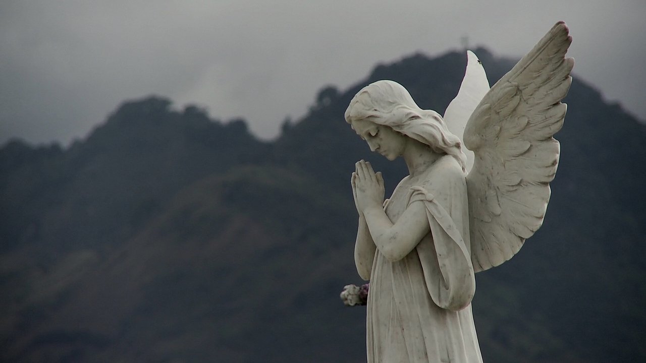 Backdrop image for movie Losing Our Religion
