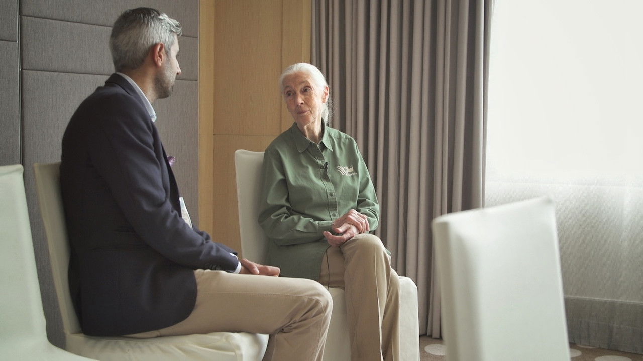 Backdrop image for movie Planet Without Apes