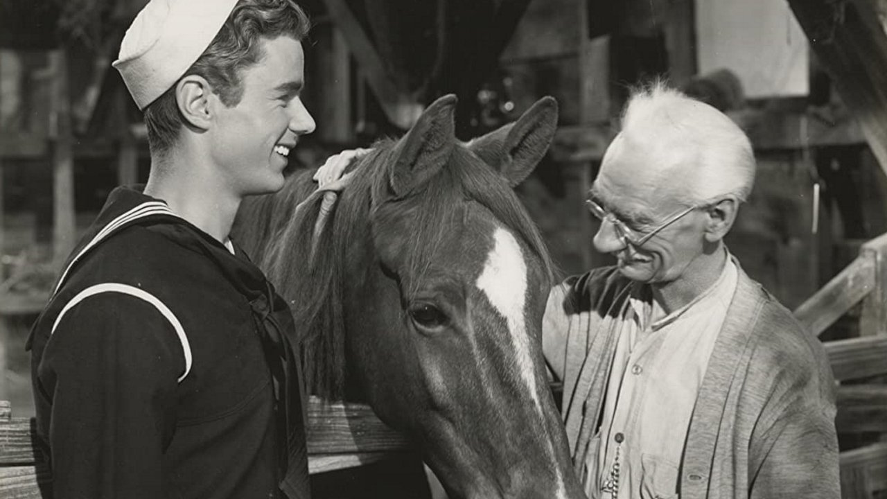 Backdrop image for movie Gallant Bess