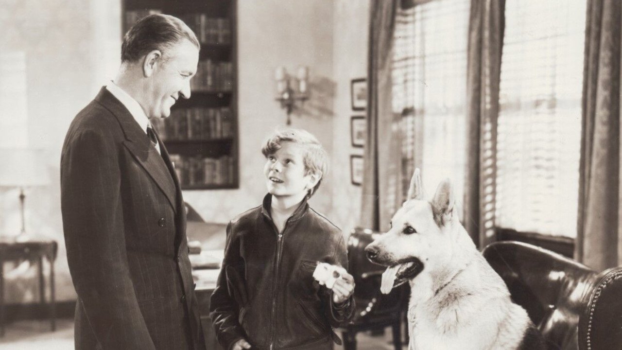 Backdrop image for movie Adventures of Rusty