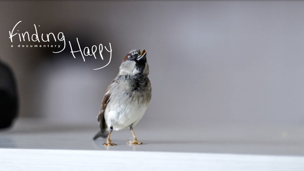 Backdrop image for movie Finding Happy