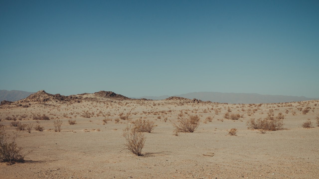 Backdrop image for movie Blue Boy