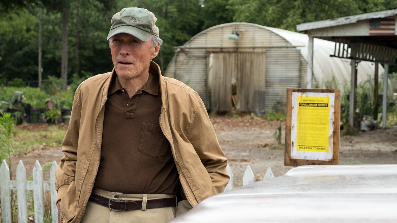 Backdrop image for movie The Mule