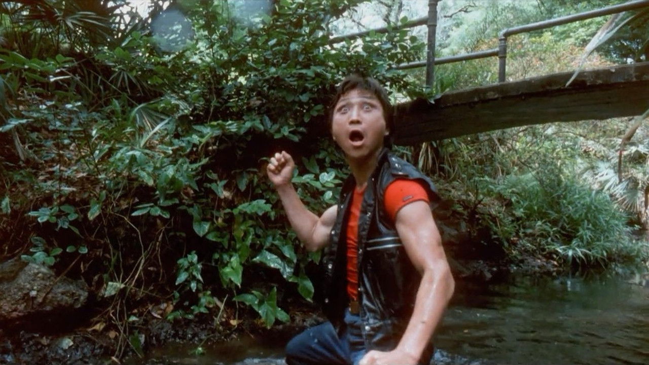 Backdrop image for movie Miami Connection