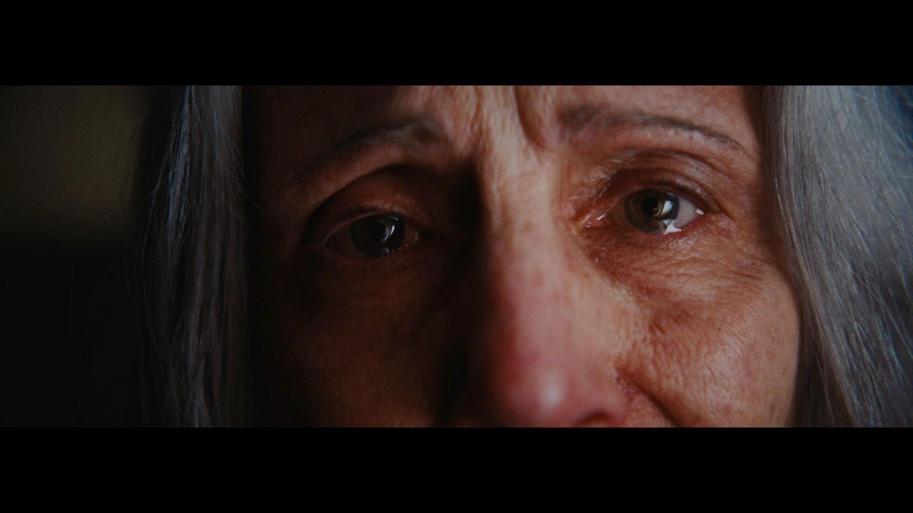 Backdrop image for movie The New Flesh