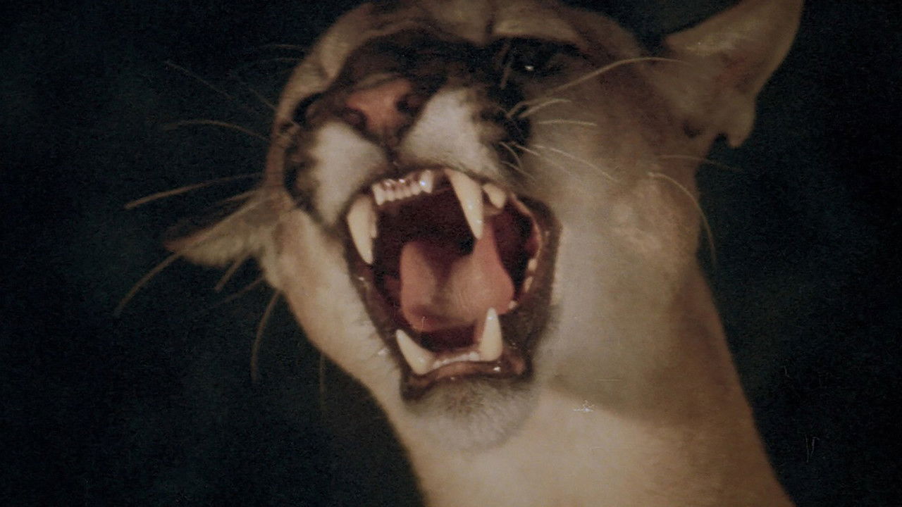 Backdrop image for movie Day of the Animals