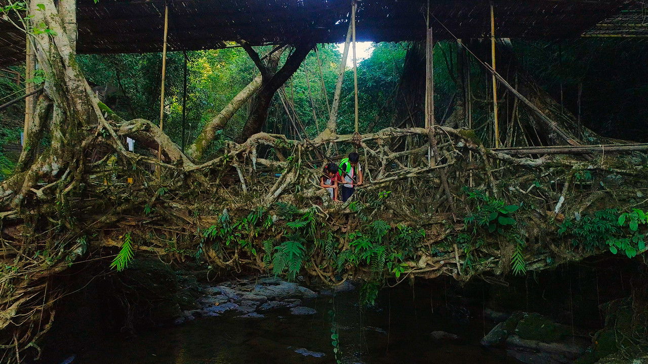 Backdrop image for movie For Tomorrow - the Documentary