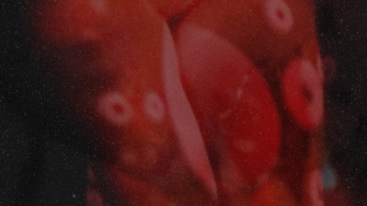 Backdrop image for movie Is It A Plaisir