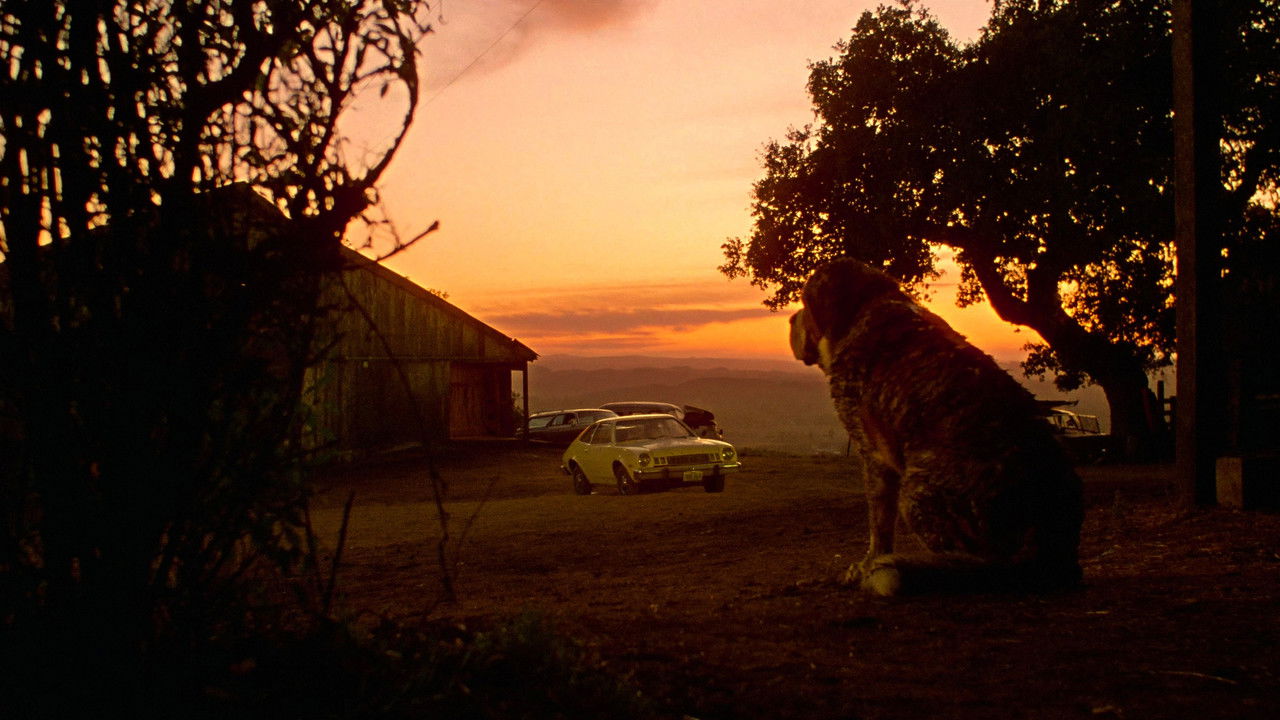 Backdrop image for movie Cujo