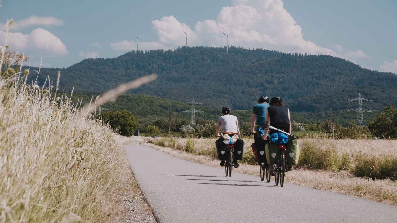 Backdrop image for movie BE WILD - NORMALITY IS RADICAL