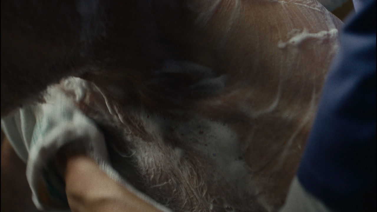 Backdrop image for movie Dignity Keeper