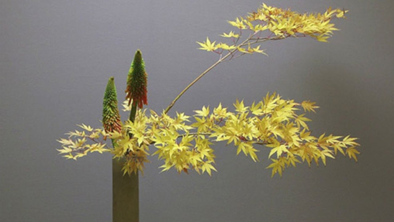 Backdrop image for movie Ikebana