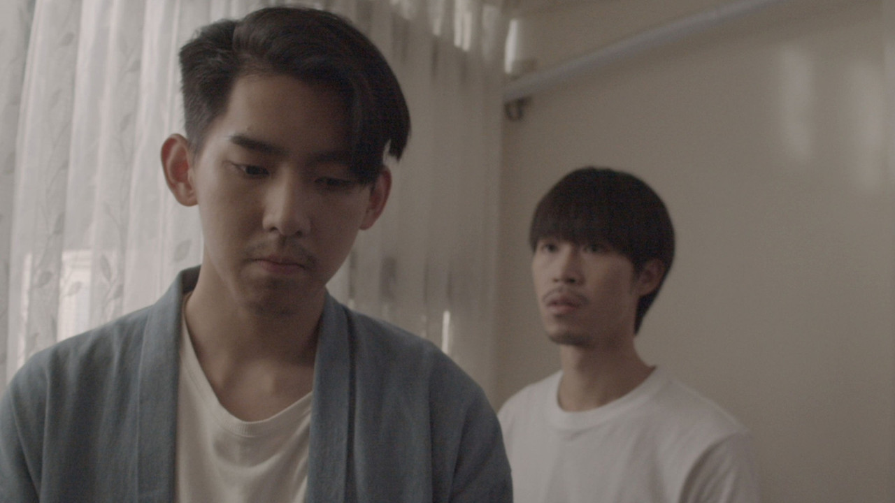 Backdrop image for movie A Cohabitation