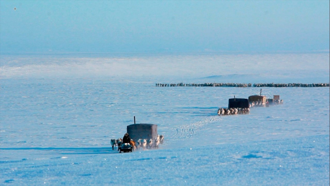Backdrop image for movie Slepý Gulliver