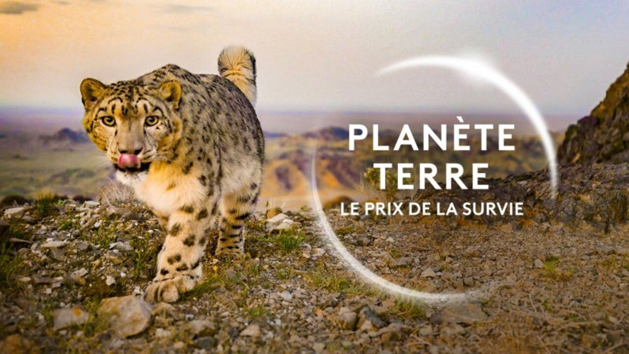 Backdrop image for movie Planète Terre, le prix de la survie