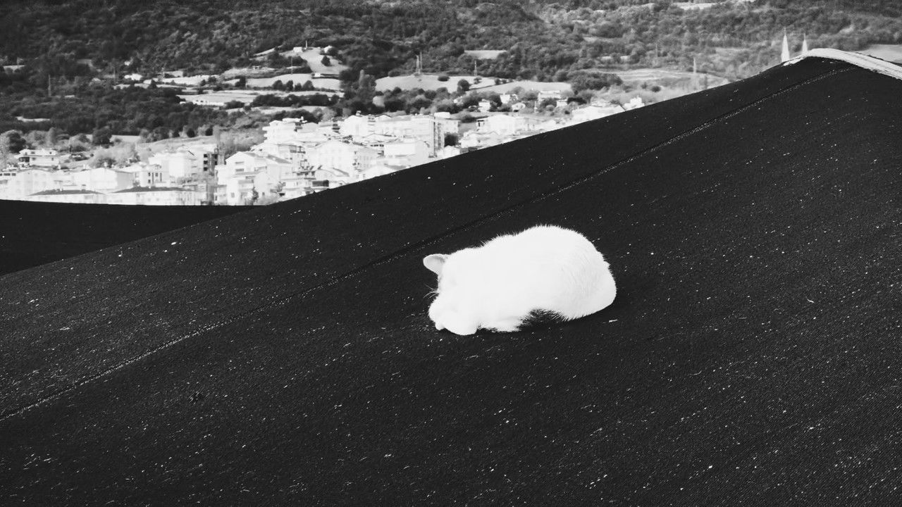 Backdrop image for movie Gemi Mezarlığı