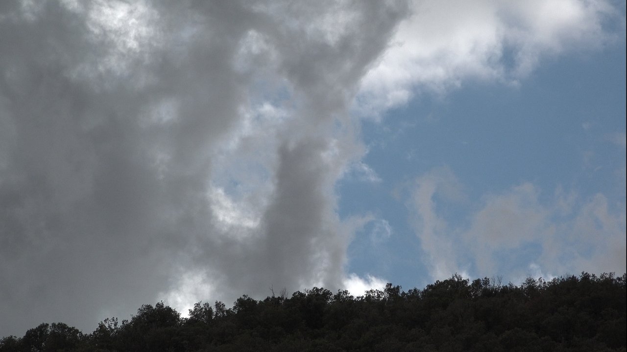 Backdrop image for movie El Secret del Bosc