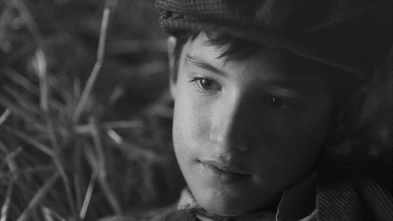 Backdrop image for movie One Hundred and One