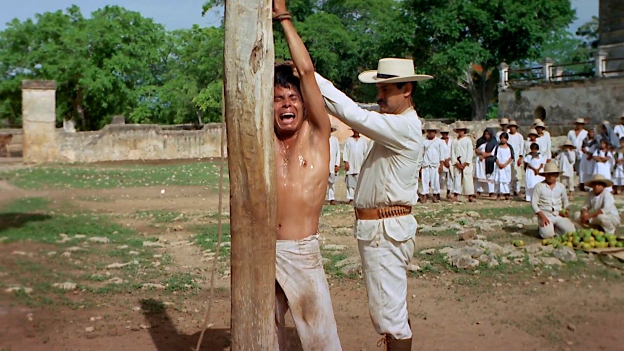 Backdrop image for movie La casta divina