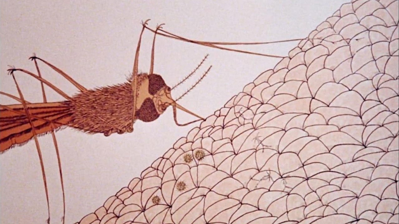 Backdrop image for movie Cosmic Zoom