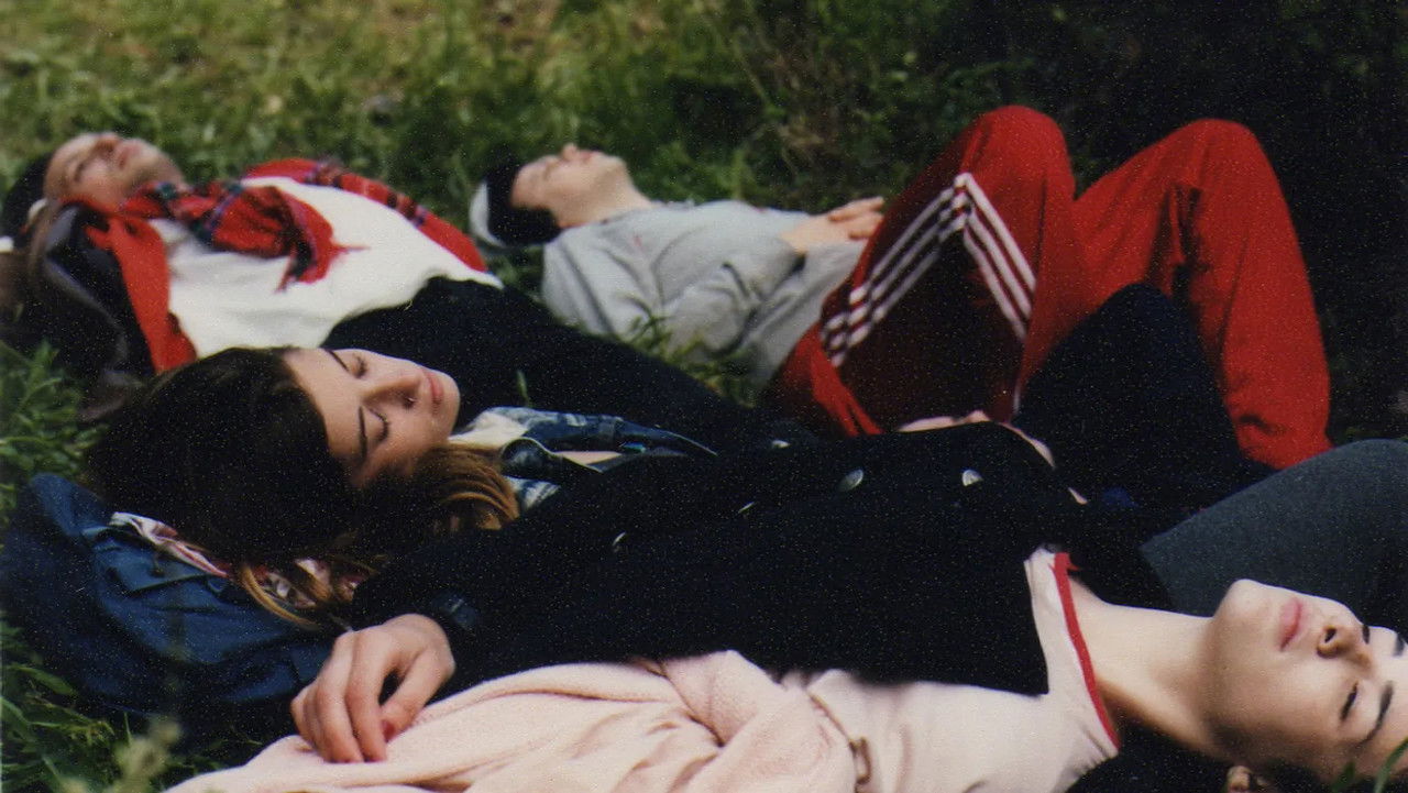 Backdrop image for movie Lions