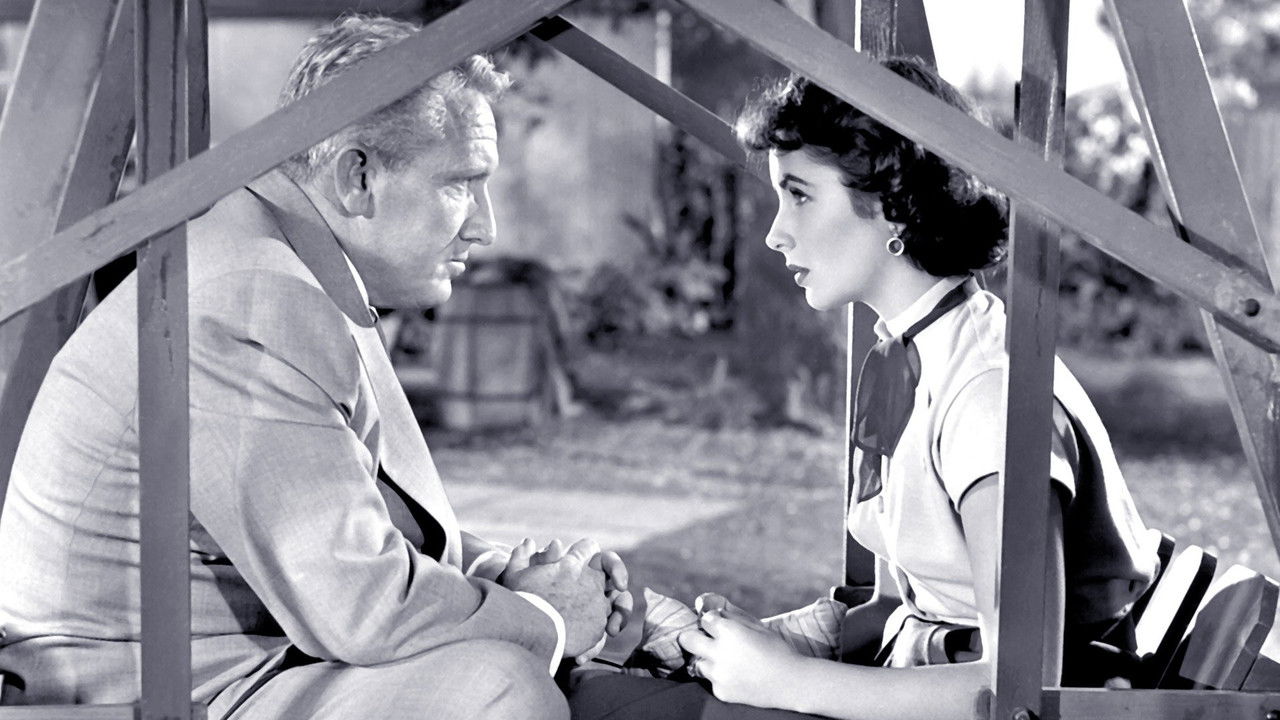 Backdrop image for movie Father's Little Dividend