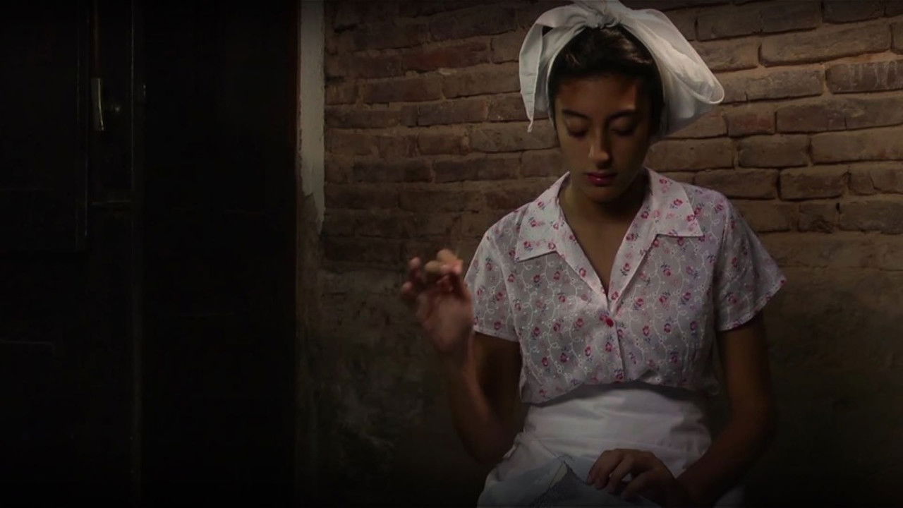 Backdrop image for movie Soy mestizo