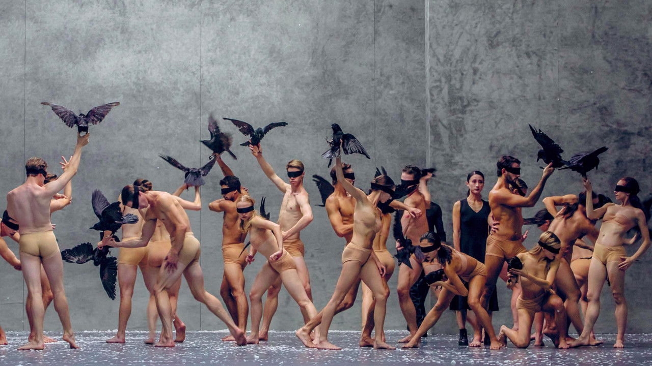 Backdrop image for movie Winterreise