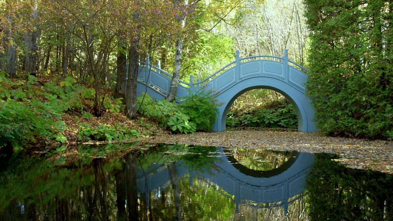 Backdrop image for movie The Gardener