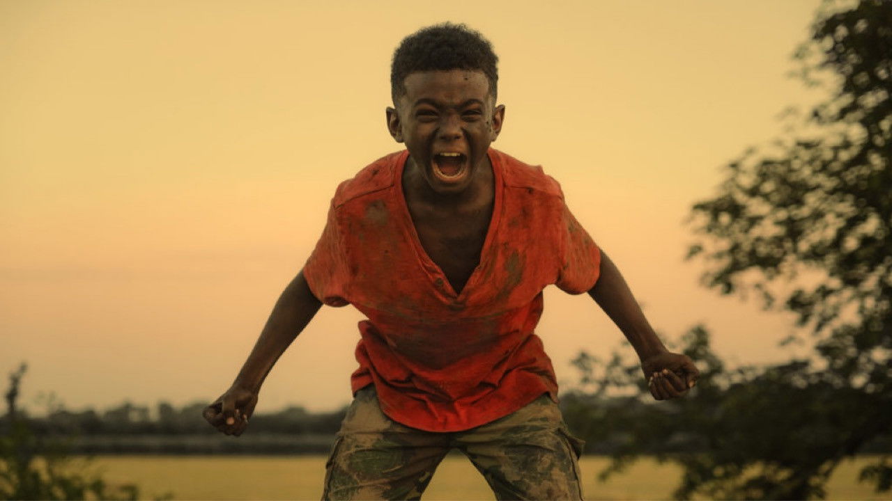 Backdrop image for movie The Last Tree