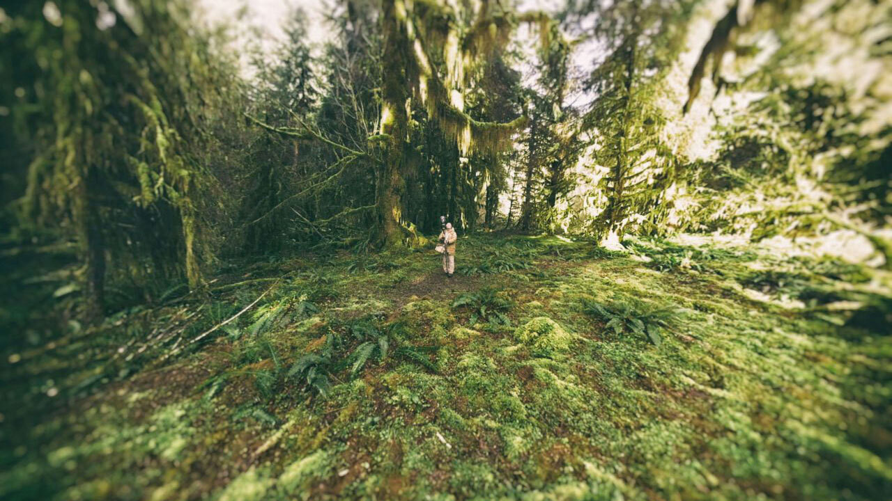 Backdrop image for movie Sanctuaries of Silence