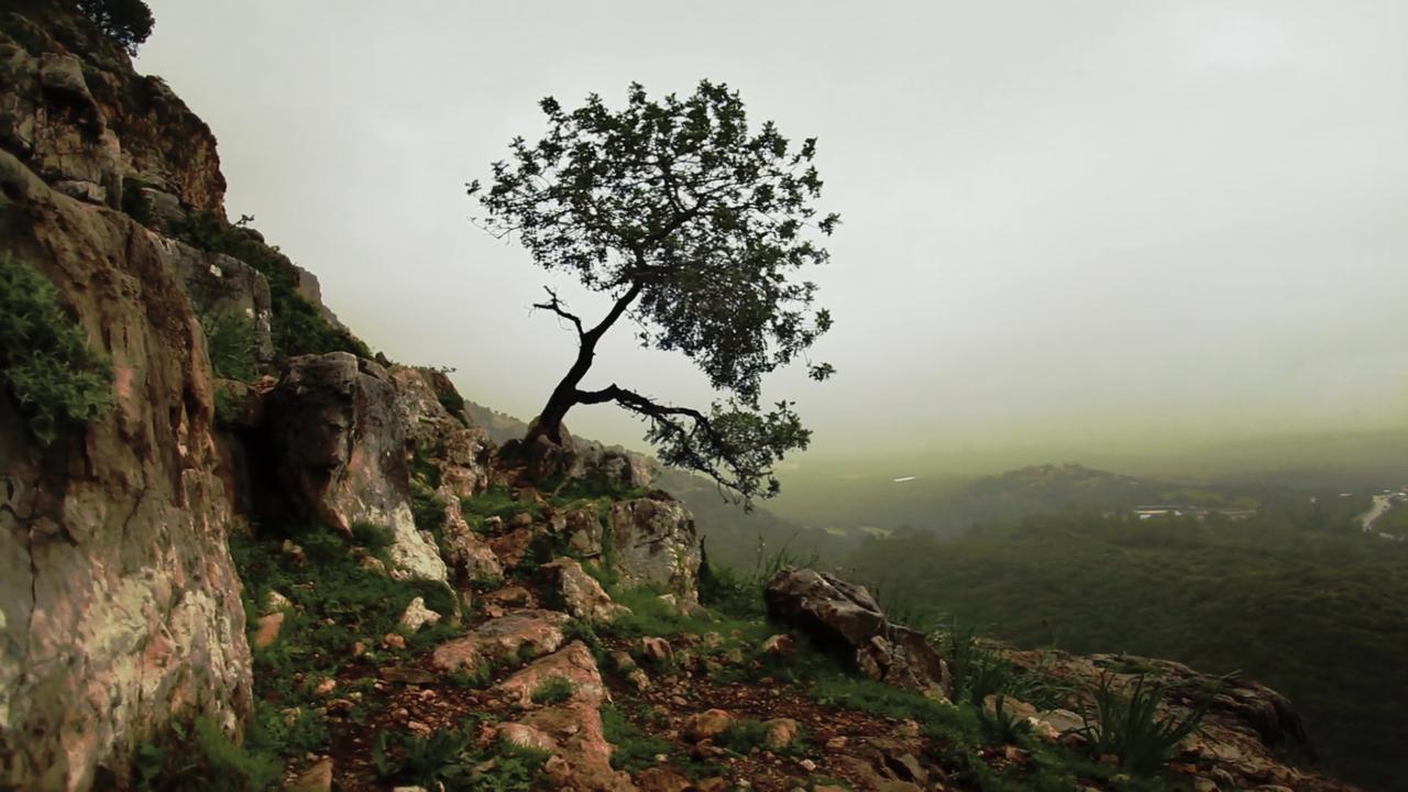Backdrop image for movie Is Mindfulness Right for You?
