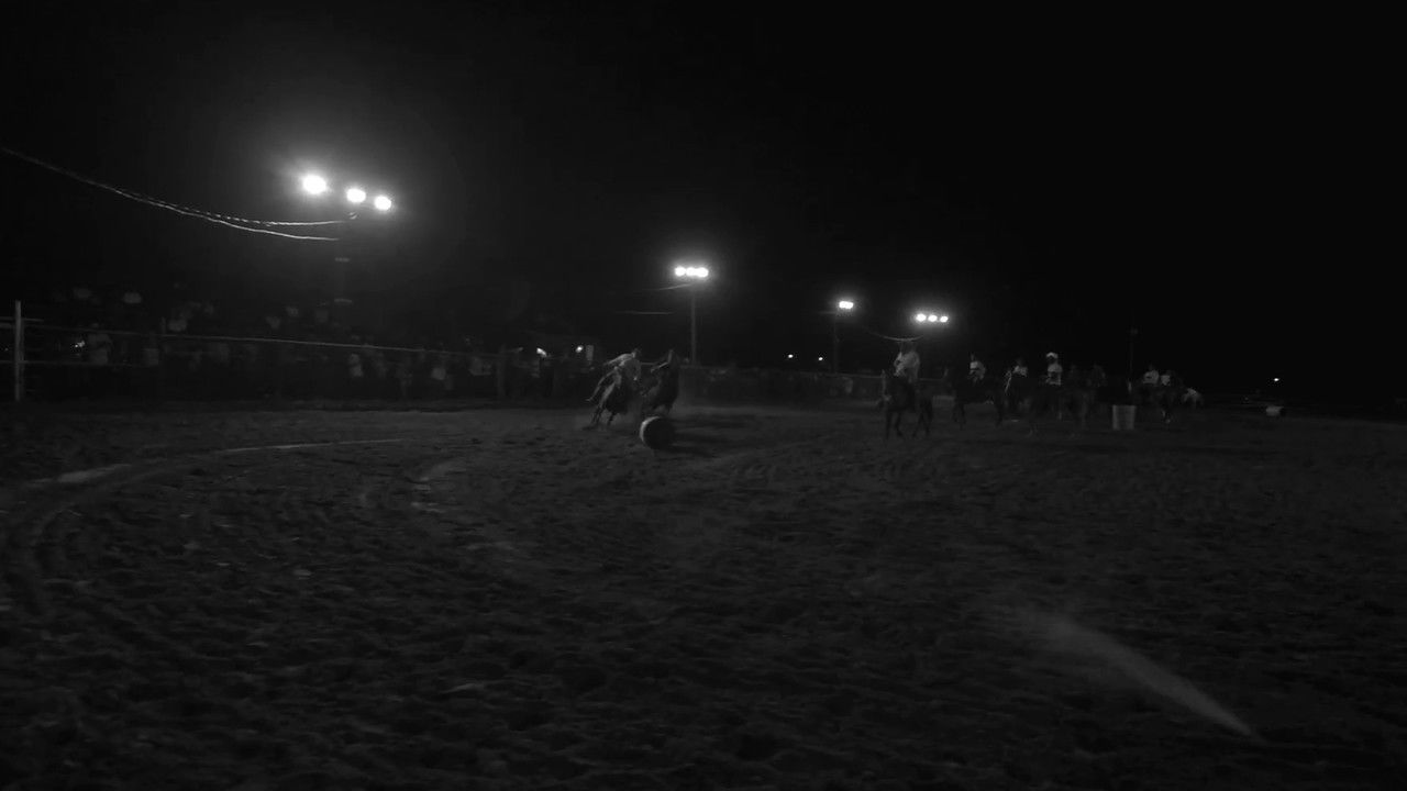 Backdrop image for movie Wildcat