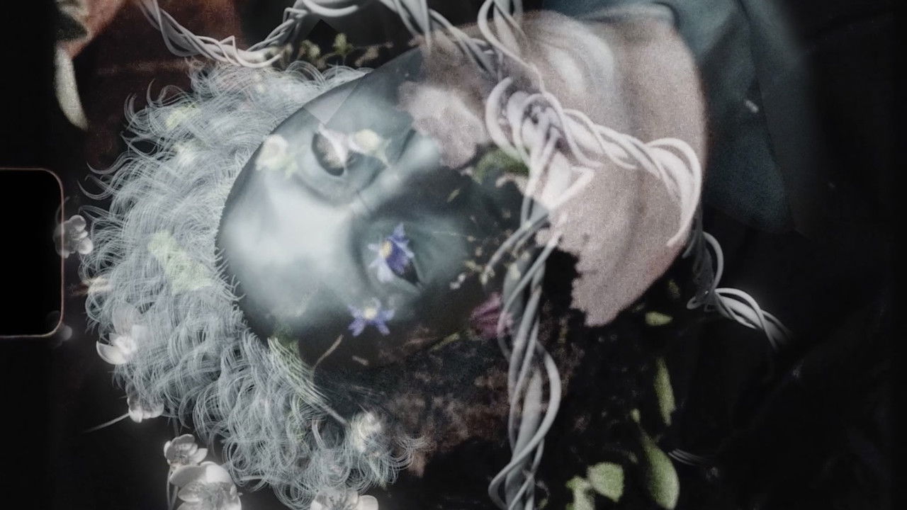 Backdrop image for movie You Can Rest in my Garden