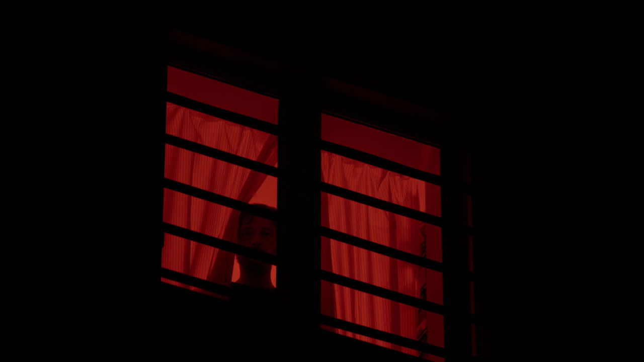 Backdrop image for movie Shadow