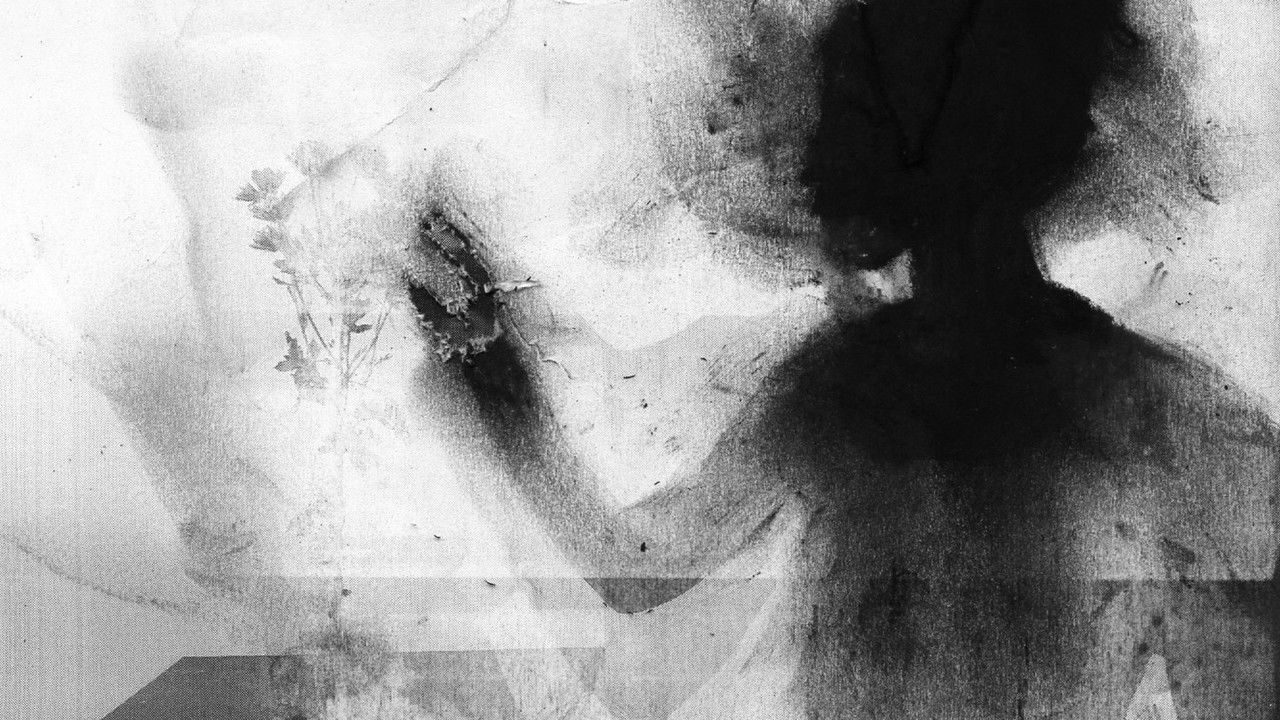 Backdrop image for movie The Extinct Suite