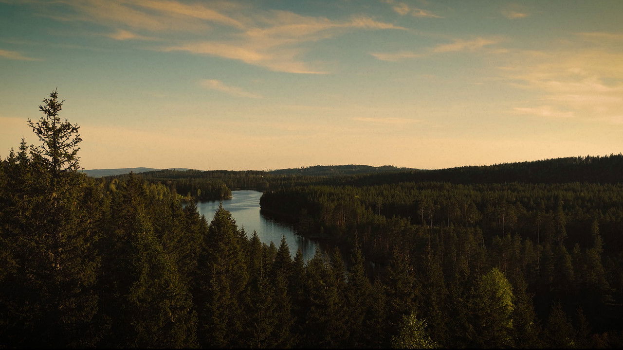 Backdrop image for movie Shroud of Mist