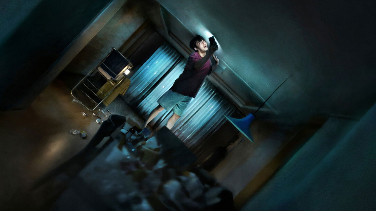 Backdrop image for movie Wall to Wall