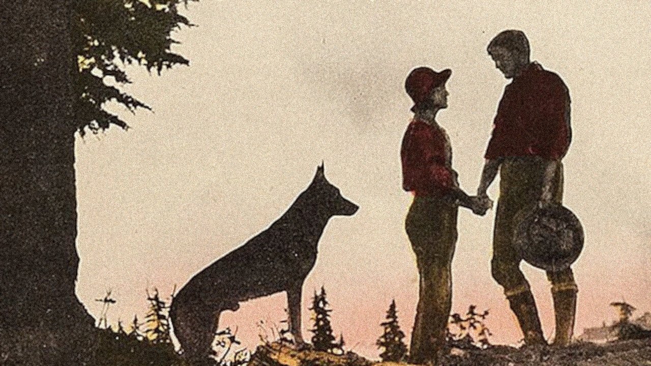 Backdrop image for movie Where the North Begins