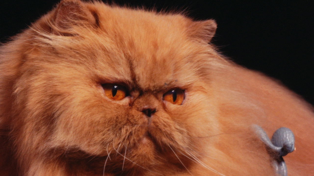 Backdrop image for movie Cherry Pop