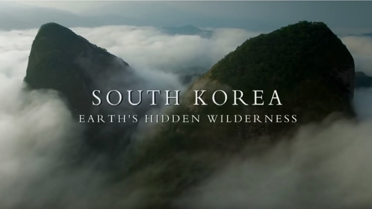 Backdrop image for movie South Korea: Earth's Hidden Wilderness