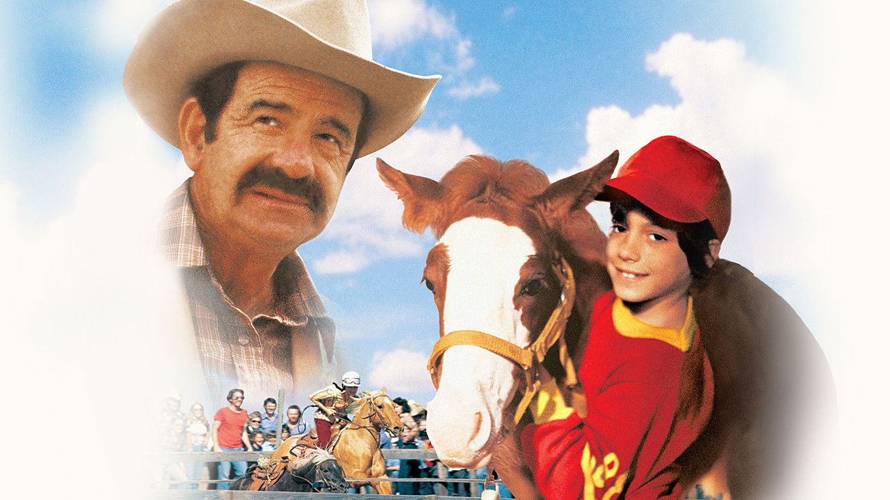 Backdrop image for movie Casey's Shadow